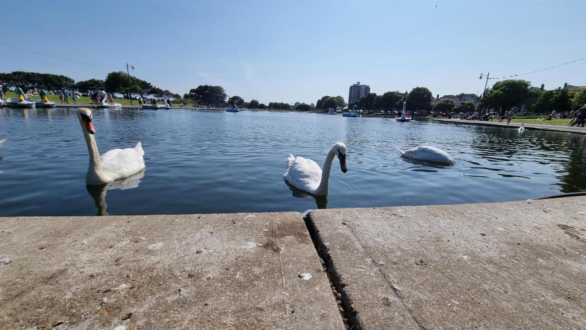Southsea Escape - Coastal Holiday Apartment - 2 Double Bedrooms Portsmouth Eksteriør billede